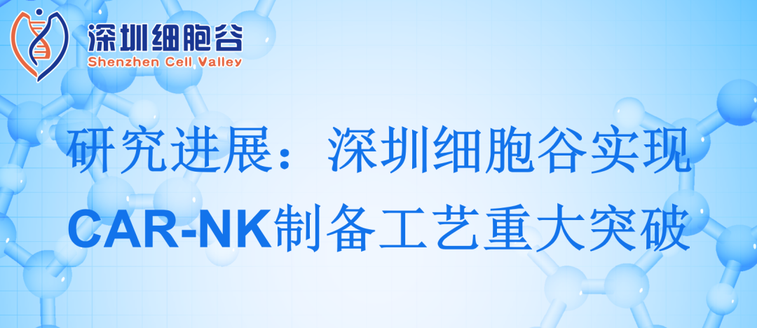 深圳凯发天生赢家一触即发首页实现CAR-NK制备工艺重大突破