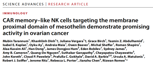 靶向间皮素的CAR记忆样NK细胞：卵巢癌治疗的新希望