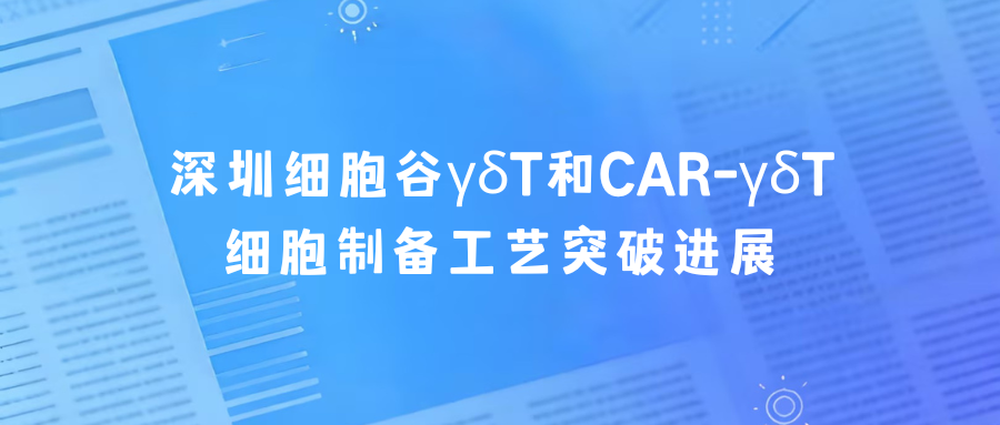 科研赋能|深圳凯发天生赢家一触即发首页γδT和CAR-γδT细胞制备工艺突破进展