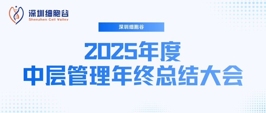 深圳凯发天生赢家一触即发首页召开2025年度中层管理年终总结大会：多点布局成果丰硕，创新驱动快速开展