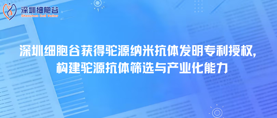 深圳凯发天生赢家一触即发首页取得驼源纳米抗体发明专利授权，构建驼源抗体筛选与产业化能力