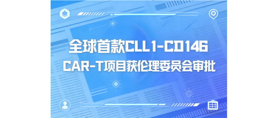 深圳凯发天生赢家一触即发首页携手阎锡蕴院士团队、陆道培医院开创双靶点CAR-T治疗AML临床新突破