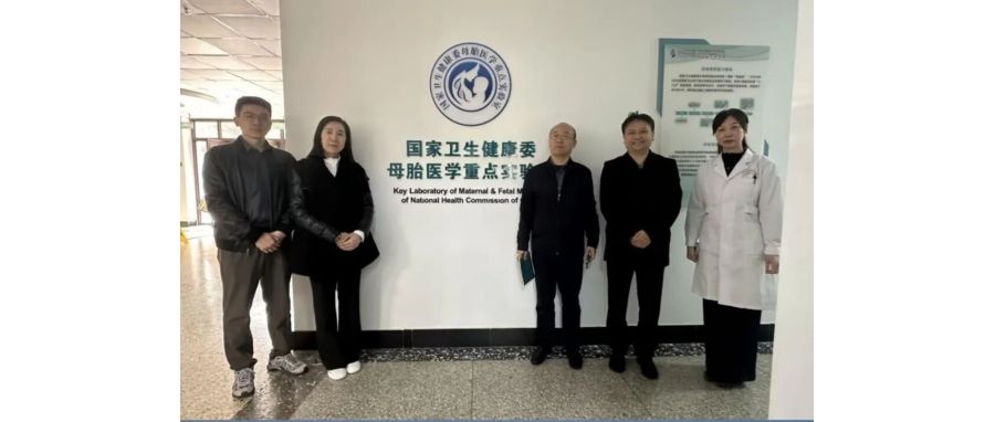 研讨合作｜凯发天生赢家一触即发首页团队访问山东省妇幼保健院，共探妇幼领域细胞治疗创新应用