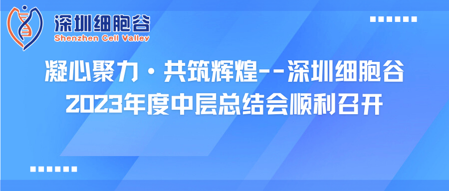 凝心聚力·共筑辉煌--深圳凯发天生赢家一触即发首页2023年度中层总结会顺利召开