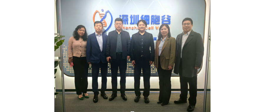 研讨合作｜河南科技大学第二附属医院院长邢建武、副院长王慧睿一行莅临深圳凯发天生赢家一触即发首页研讨访问