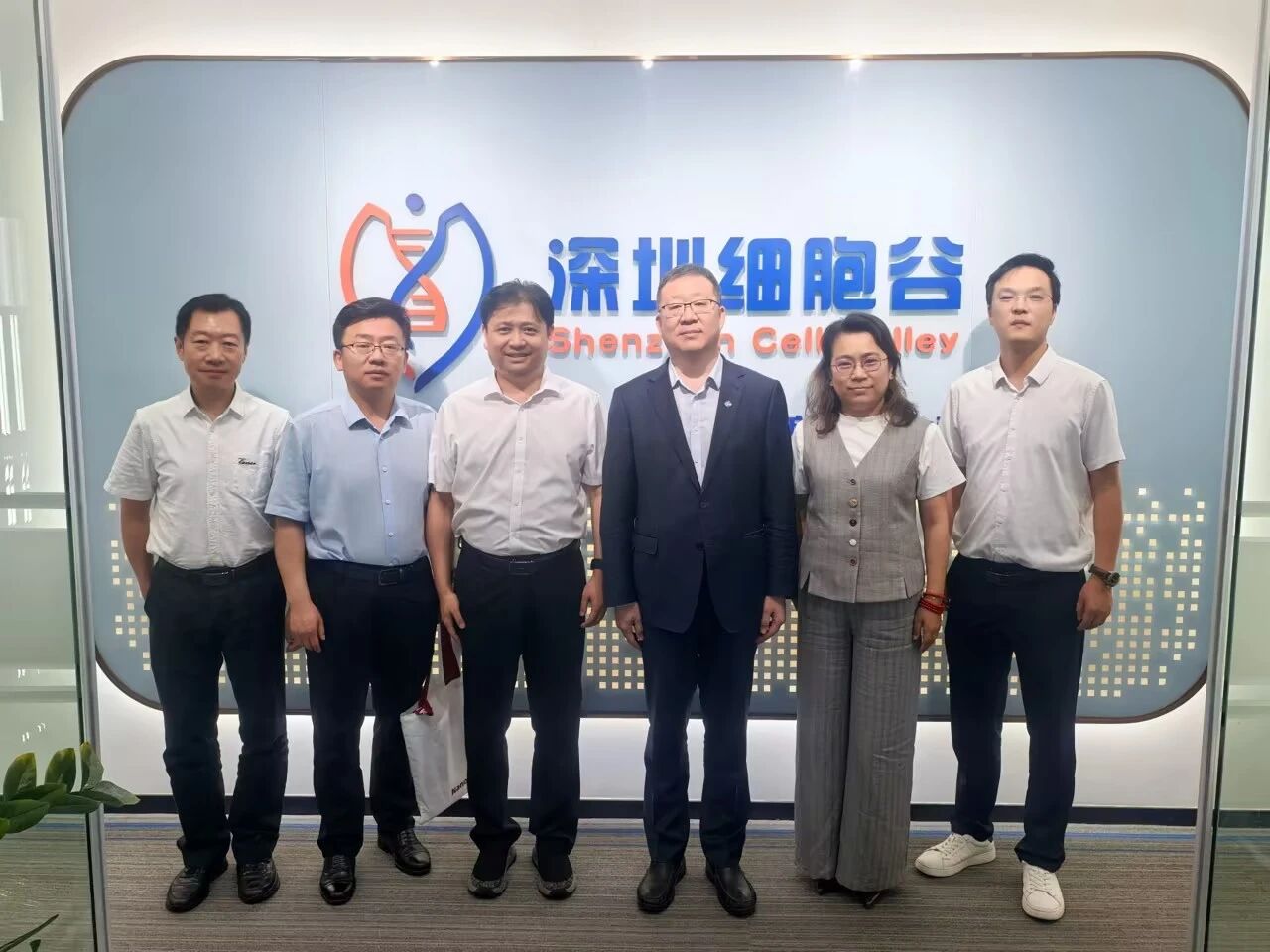 中国医药董事长杨光一行到访深圳凯发天生赢家一触即发首页考察研讨