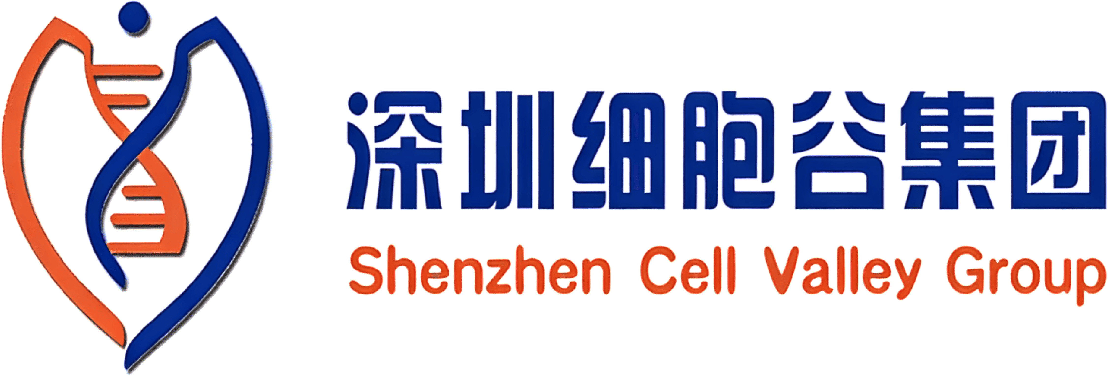 深圳凯发天生赢家一触即发首页集团